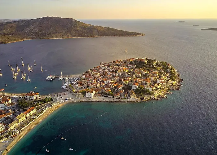 Maslina * Primošten